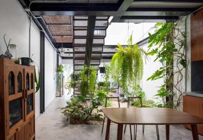 interior garden with some hanging plants over a wooden dining table