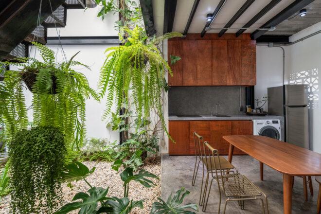 large hanging plants near a wooden dining table and kitchen with wooden cabinets
