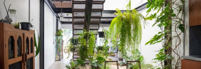 interior garden with some hanging plants over a wooden dining table