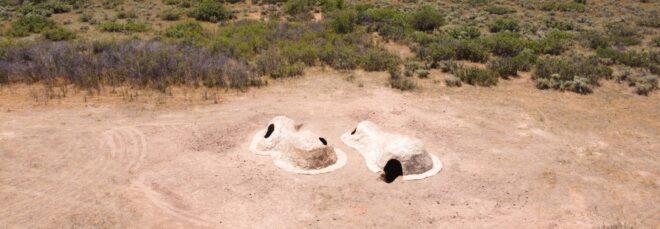 aerial view of two elongated, irregular domes in the desert