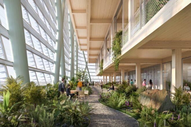 rendering of indoor garden full of plants