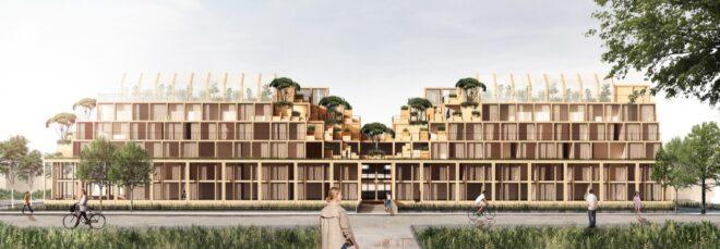 multistory building made from stacked wood cube volumes with trees growing on the roof