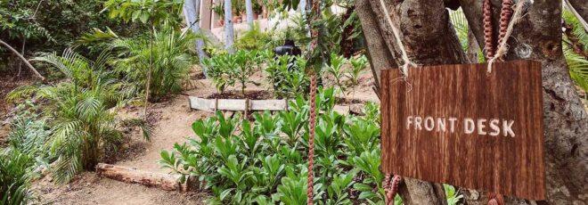 green plants with a sign to the right reading "Front Desk." the sign is hung on a tree.