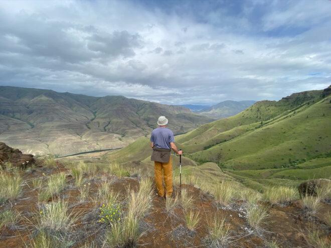 person looking out at Hells Canyon