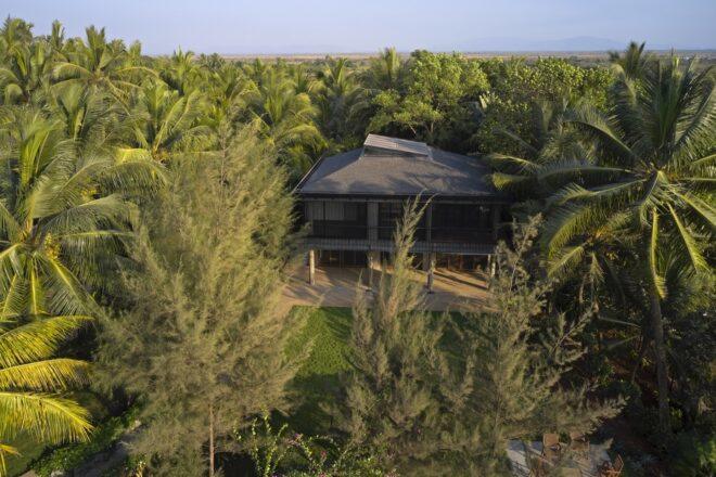 aerial view of elevated black home surrounded by lush palm trees