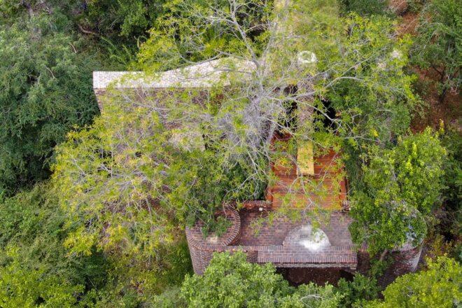 a bird's-eye view of green trees partially obscuring a brick and wood home