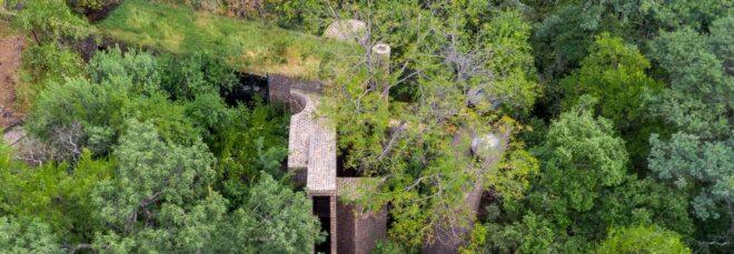 a bird's-eye view of green trees partially obscuring a brick and wood home