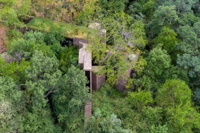 a bird's-eye view of green trees partially obscuring a brick and wood home