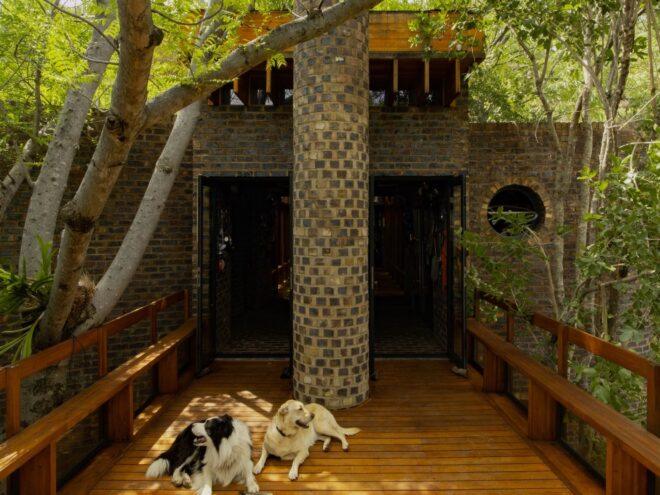 a wood bridge leading into a home made of brick. in the middle of the bridge is a stone pillar, with two dogs laying in front of it. trees surround the home.