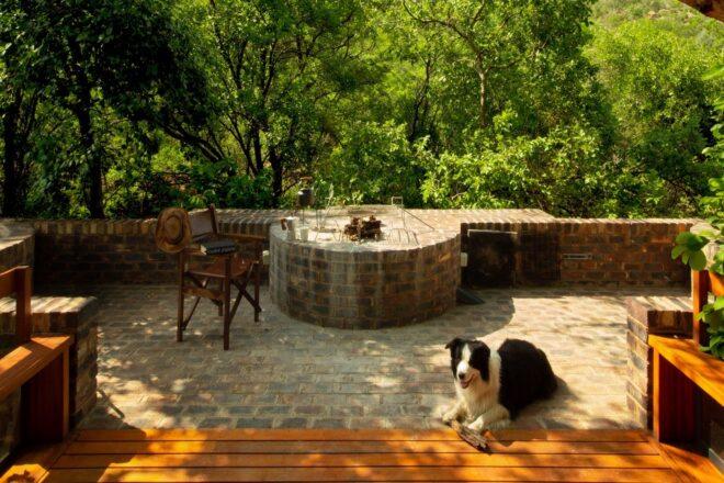 a stone patio connected to a wood bridge that looks out on a forest full of trees. a black and white dog lays on the patio.