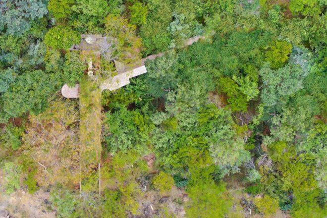 a bird's-eye view of green trees partially obscuring a brick and wood home