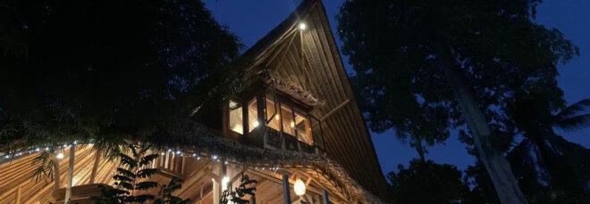 clay home with pitched grass roof at night