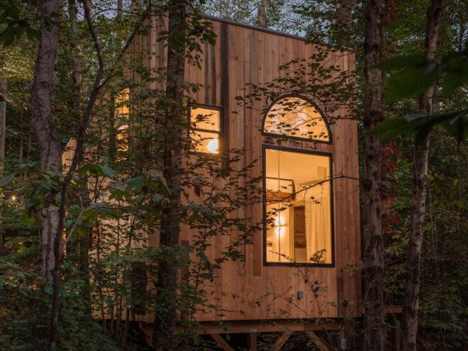 wood cabin with large windows in a forest