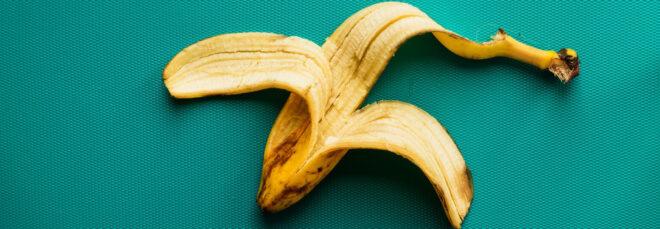 banana peel on teal background