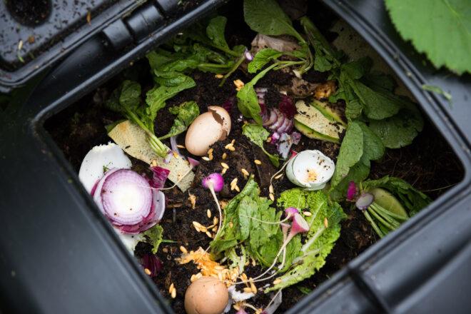 compost bin filled with food scraps
