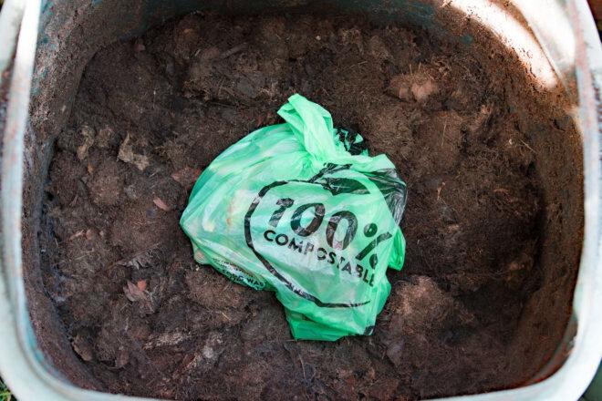 green compostable plastic bag in a compost bin