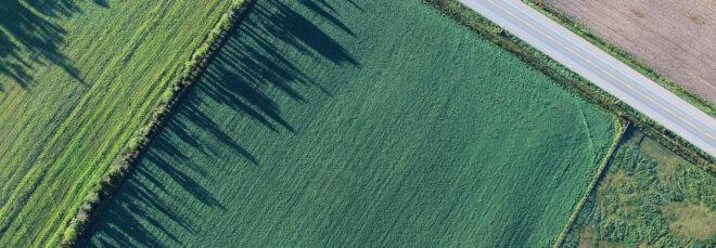 aerial view of cropland