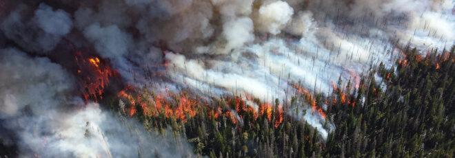 a bird's-eye view of smoke and fire in a forest