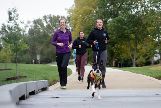 group of friends walking a dog in a park