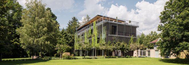 timber building covered in climbing plants