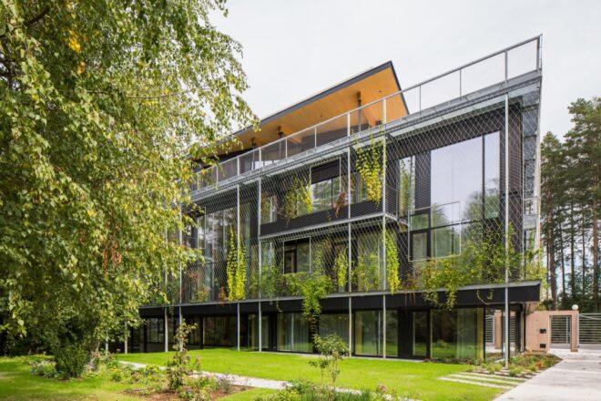 timber building covered in climbing plants