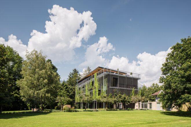 timber building covered in climbing plants