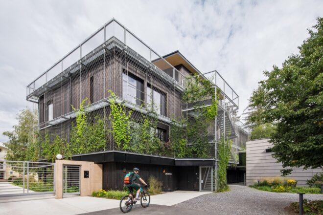 cyclist riding past timber building covered in vines