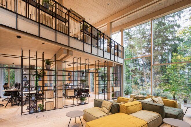 light timber office interior with modern furniture and glass walls