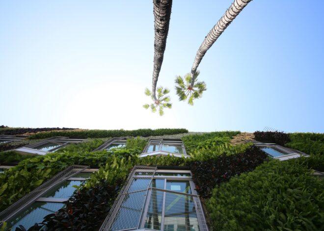 worm's eye view of green-walled building across from two palm trees