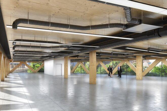 timber and concrete office space with glass walls