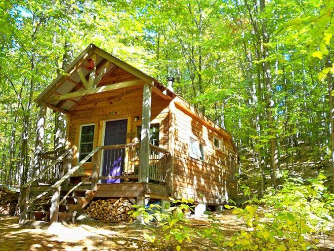 wood cabin in green forest