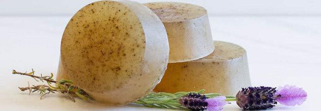 lavender shampoo bars on white background