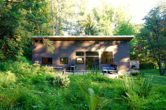 black home in a green forest