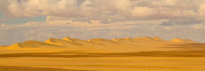 a yellow sand desert against the horizon