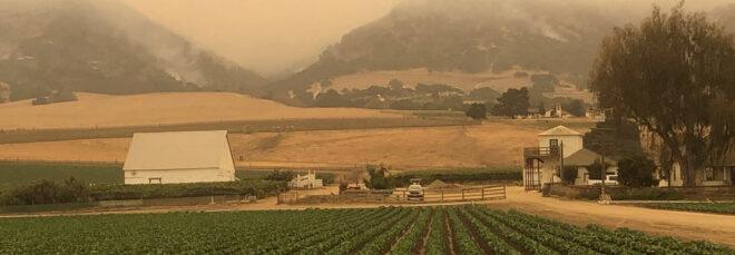 Wildfire smoke on a farm in California