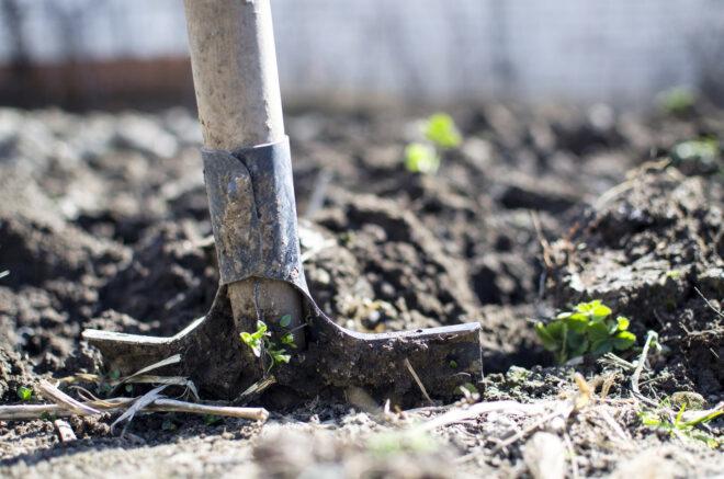 shovel in soil