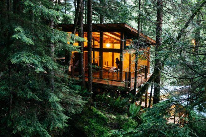 wood treehouse in a forest