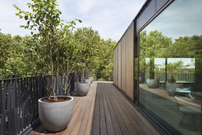 potted plants lining a wooden deck
