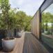 potted plants lining a wooden deck
