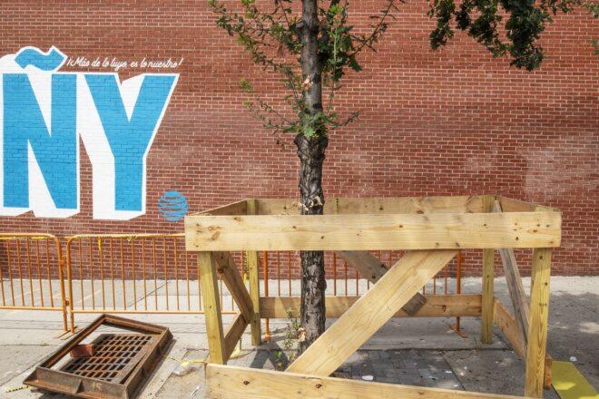 hand-built wood barrier around narrow tree