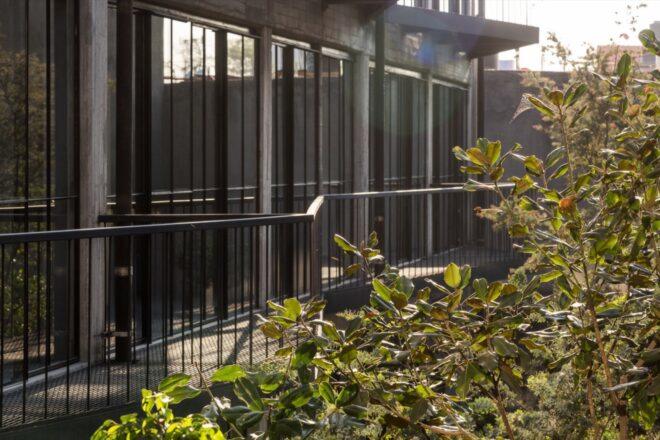 plants growing around black building with several windows