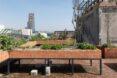 rooftop garden in raised brick planter