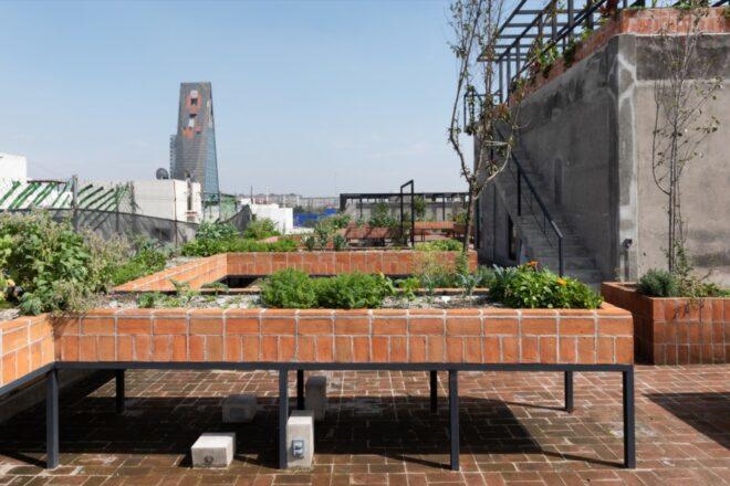 rooftop garden in raised brick planter