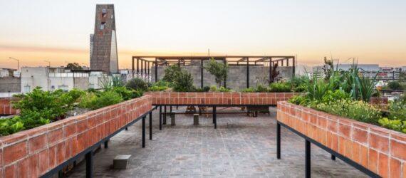 rooftop garden in raised brick planters
