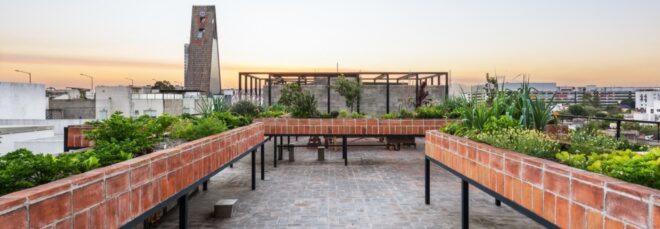 rooftop garden in raised brick planters