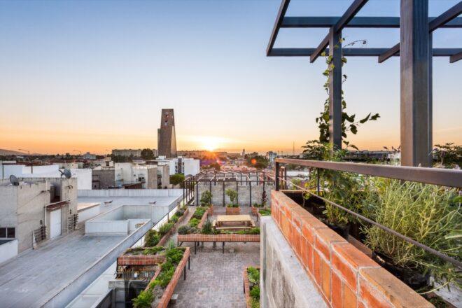 raised brick planters on a roof