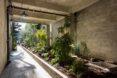 plants growing in covered garden area