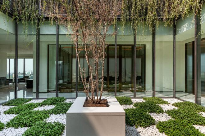 a courtyard with greenery and a tree in the middle. behind the tree are glass walls showing the office spaces inside.