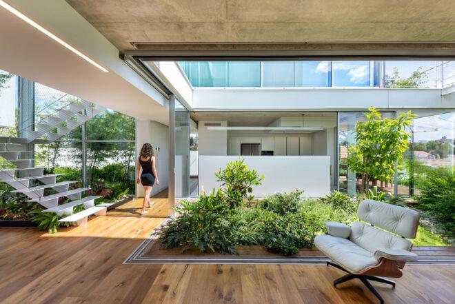 white interior with wood floors and central indoor garden