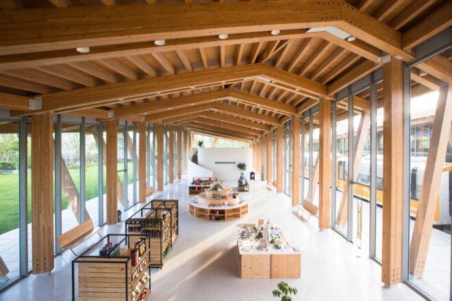 timber product displays inside a timber and glass structure